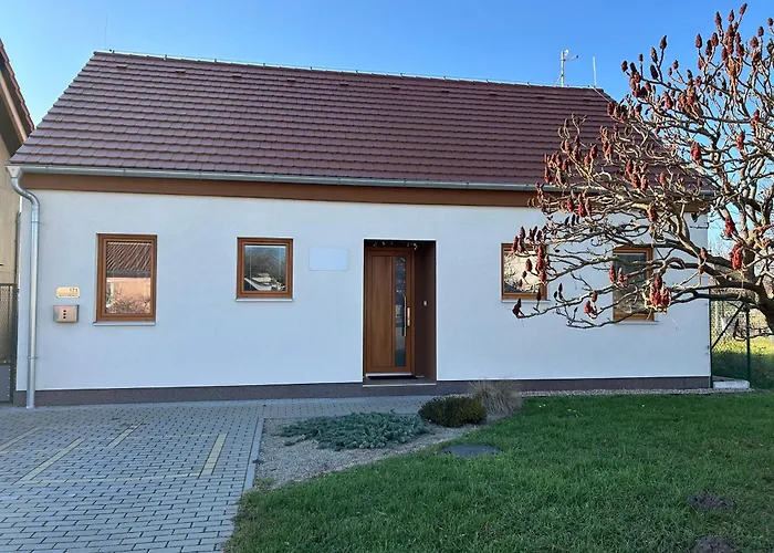 Levandule Novy Prerov